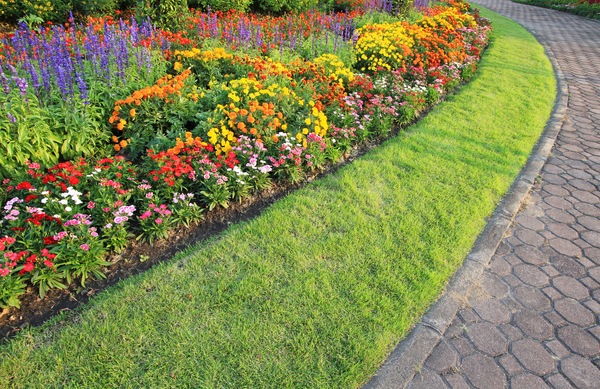 Landscape Design Basics: Principles Do-It-Yourselfers Need To Know
