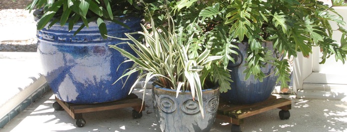 Explore a wide range of pottery accessories that elevate your landscaping New Smyrna Beach FL.
