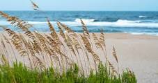 Have You Seen Me? Top 3 Pants Found On Florida's East Coast Dunes