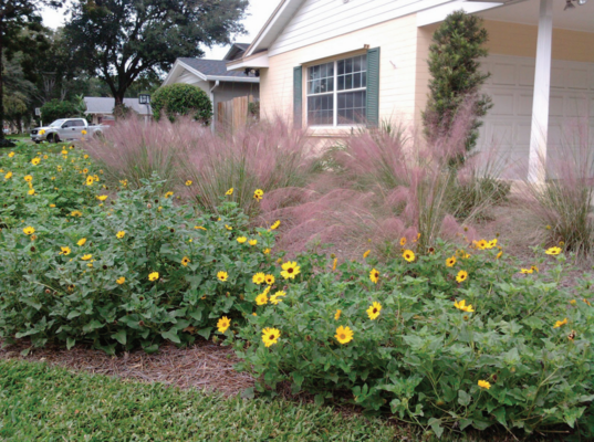 10 Great Native Foundation Shrubs and Why You Should Plant Them