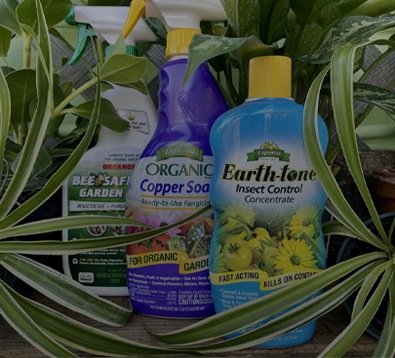 Plant Nurseries – Pest Control
